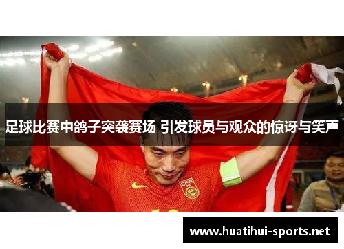 足球比赛中鸽子突袭赛场 引发球员与观众的惊讶与笑声